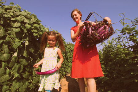 Changing Seasons: Fall vs. Summer Harvesting Image